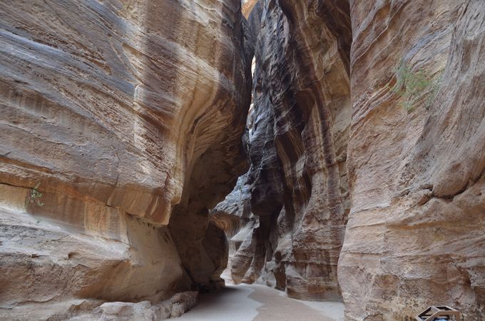 Il Siq, la stretta gola che si apre tra spettacolari pareti di roccia arenaria e conduce all'ingresso della vecchia città dei Nabatei.
Foto sotto: la magnifica facciata del 