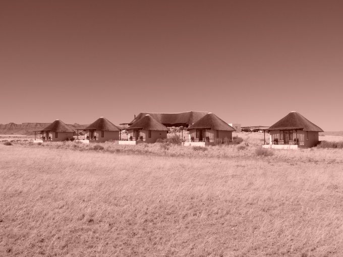 The Desert Homestead Lodge (Namib Naukluft Park). Nel mezzo di una immensa praterie dalle infinite sfumature di giallo, sullo sfondo dei rilievi desertici del Namib, si presenta con scenari mozzafiato ed un surreale silenzio.  Alle prime luci dell'alba, veniamo svegliati dal rumore degli orici e sprinbook che si spingono sino alla porta del nostro bungalow.